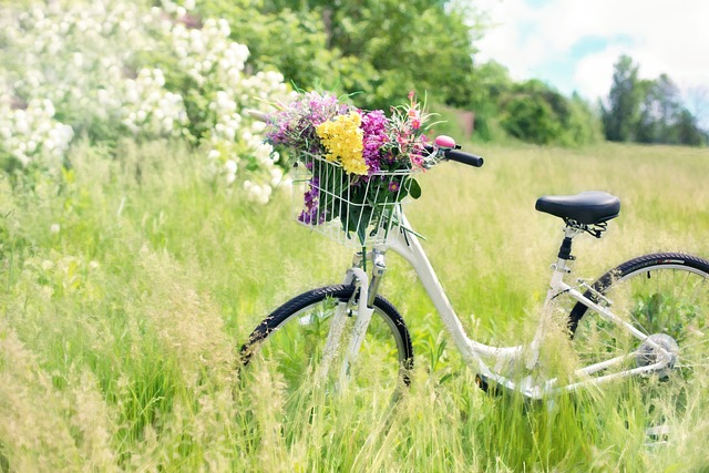 Damesfietsen: alles wat je moet weten voor de perfecte keuze
